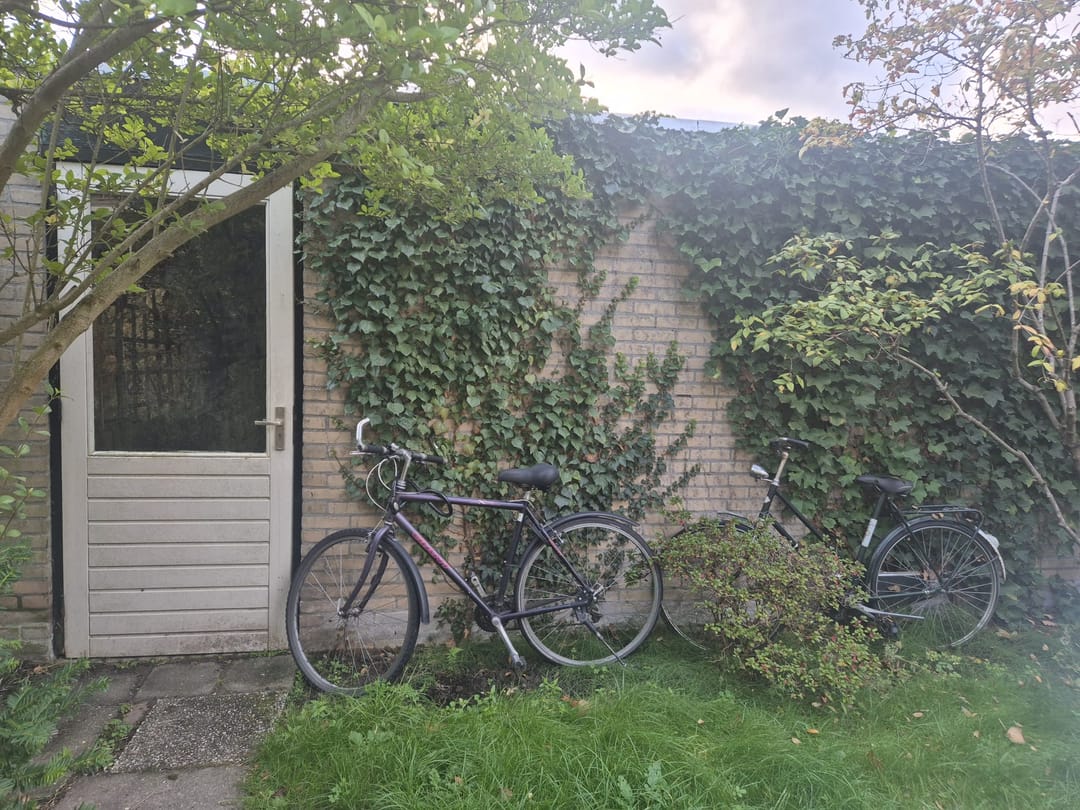 Foto 8 van Willem Frisostraat 20