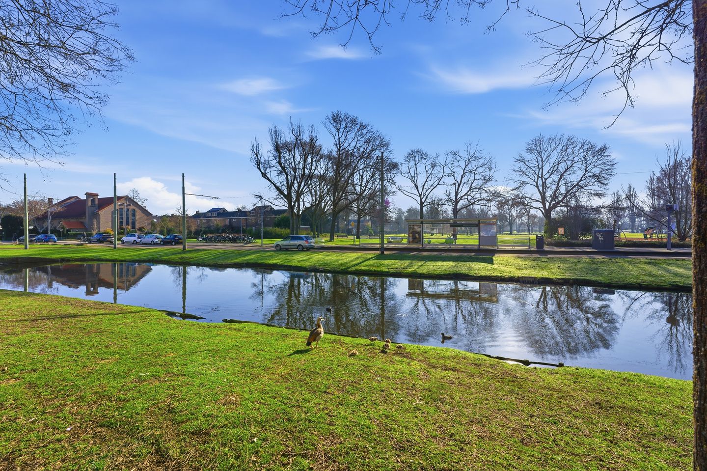 Foto 34 van Meidoornsingel 97-A