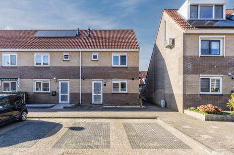 undefined main image