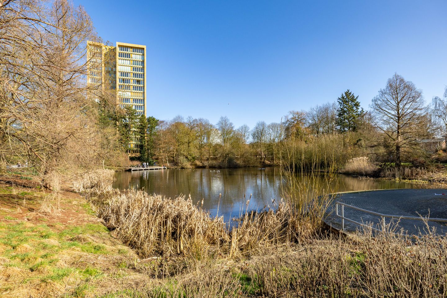 Foto 34 van Rivierenhof 56