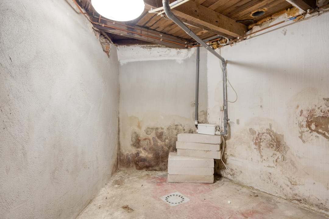 Foto 13 van Renbaanstraat 87