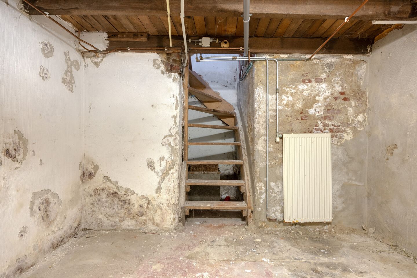 Foto 14 van Renbaanstraat 87