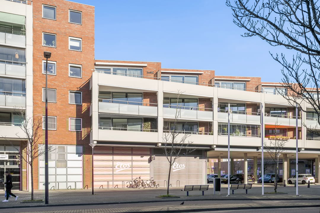 Photo 1 of Mesdaglaan 123