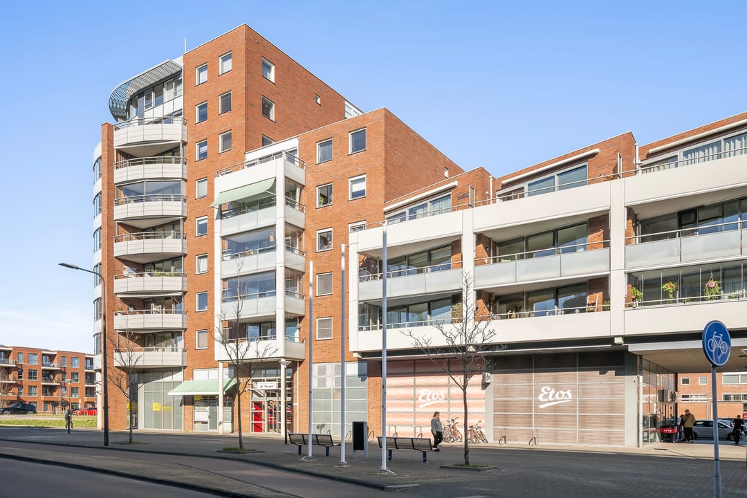 Photo 32 of Mesdaglaan 123