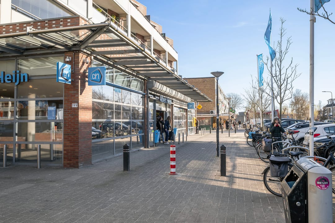 Photo 37 of Mesdaglaan 123