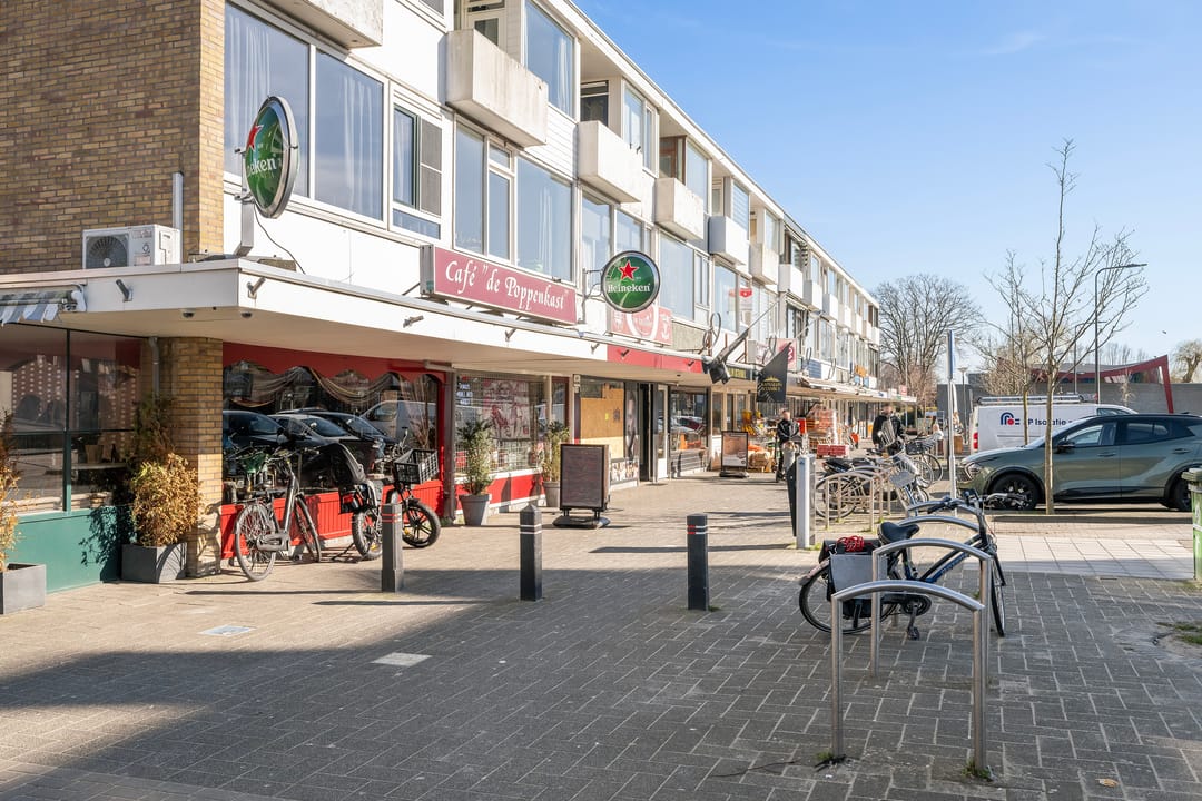 Photo 38 of Mesdaglaan 123