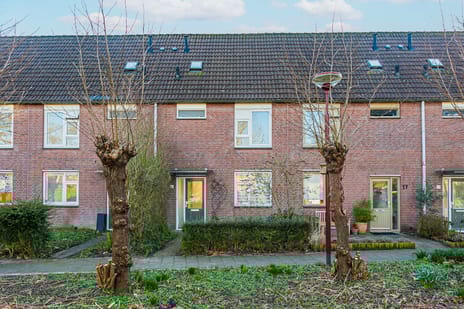 undefined main image