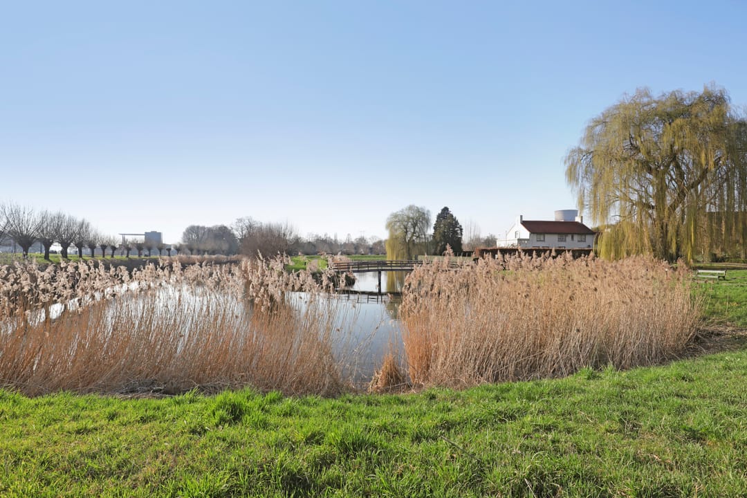 Foto 56 van Koestraat 85