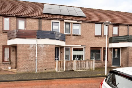 undefined main image