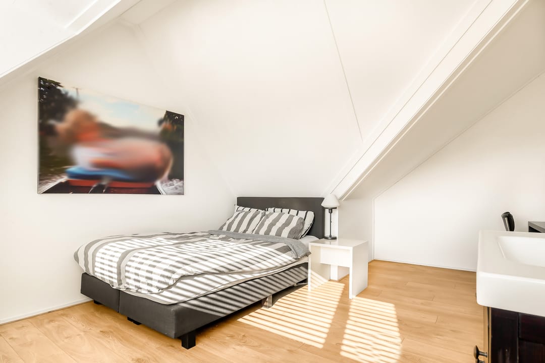 Foto 41 van Professor Zeemanstraat 43