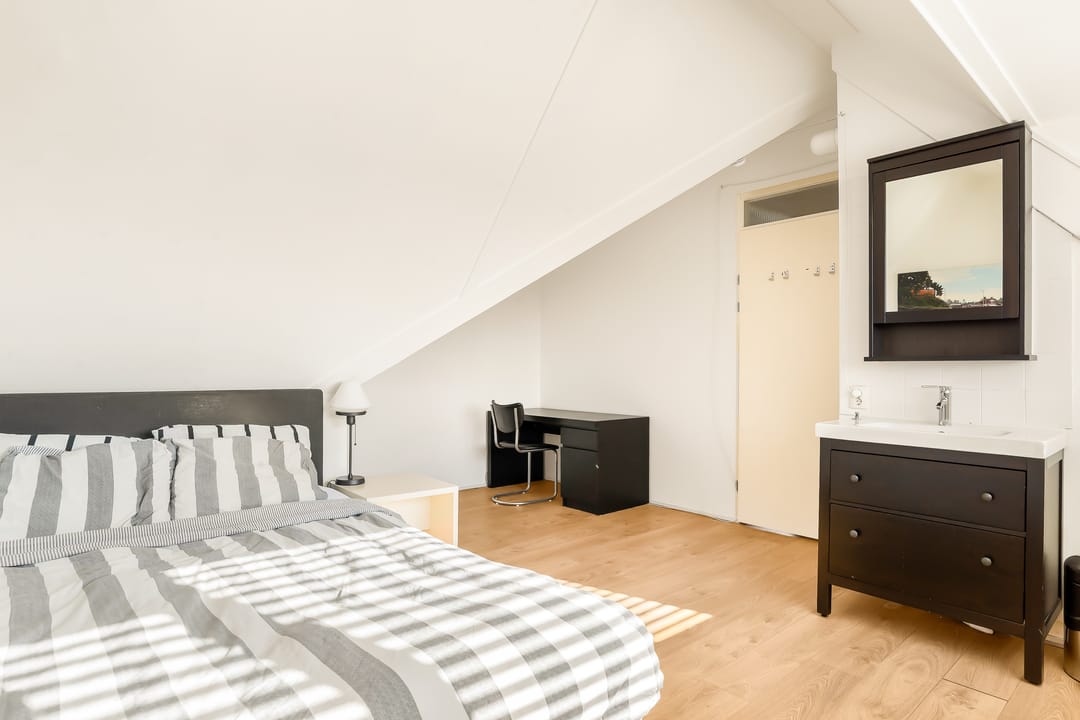 Foto 43 van Professor Zeemanstraat 43