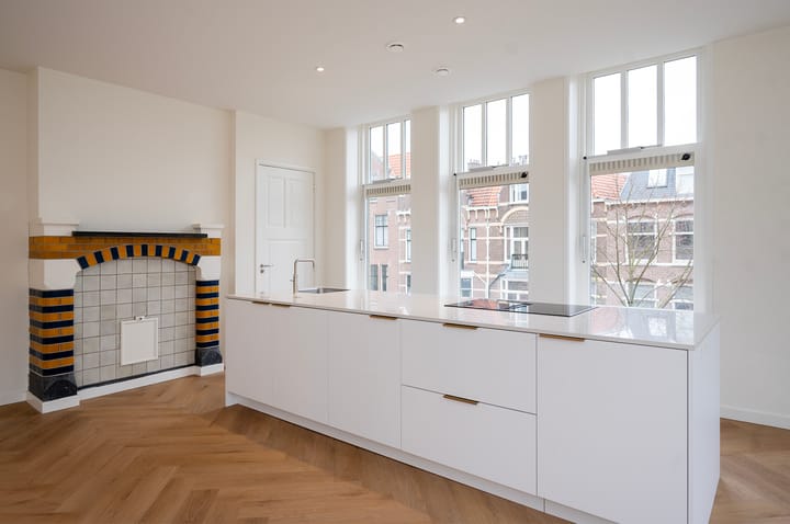 Foto 2 van Frederik Hendriklaan 85-B1