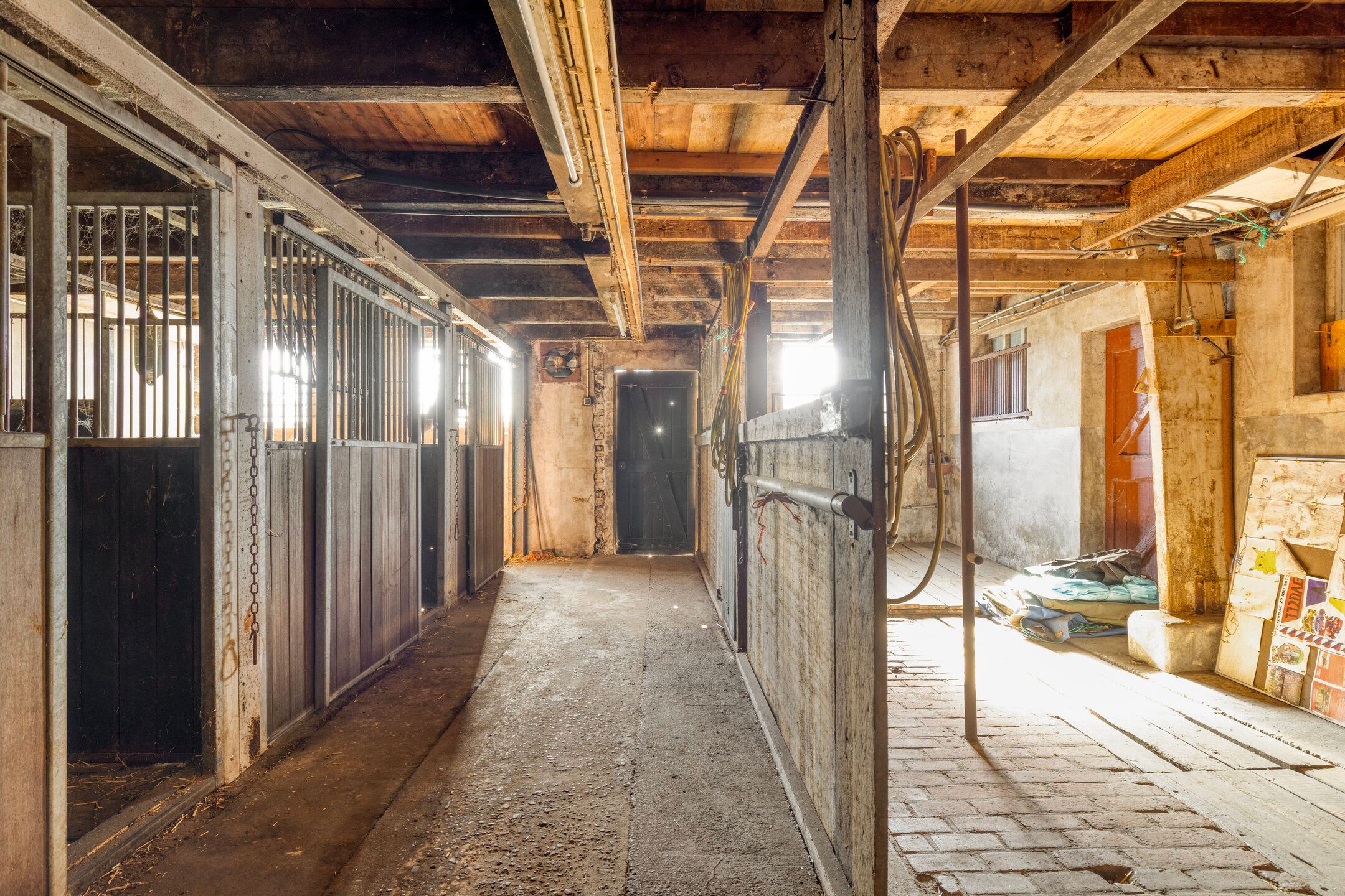 Photo 45 of Wittewijk 6