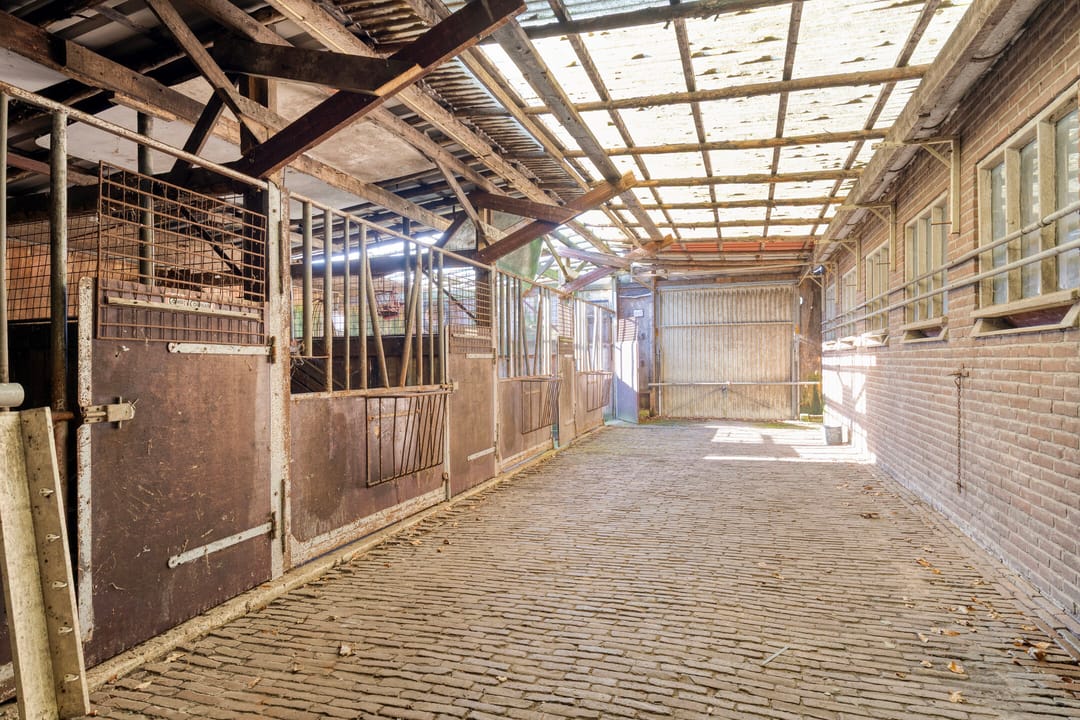 Photo 46 of Wittewijk 6