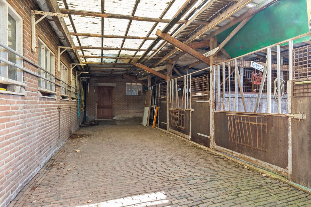 Photo 47 of Wittewijk 6