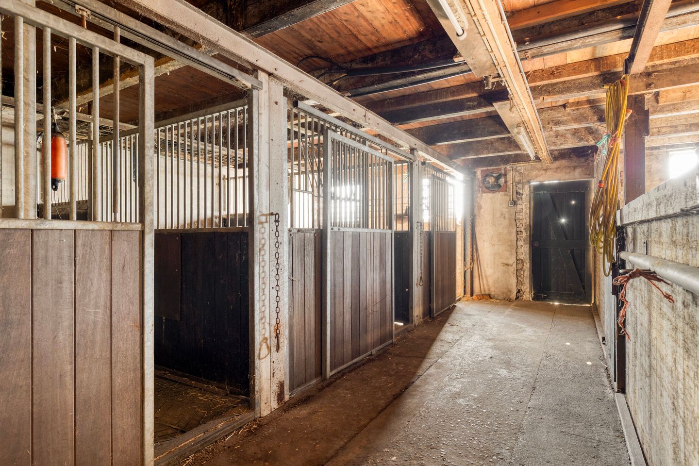 Photo 5 of Wittewijk 6