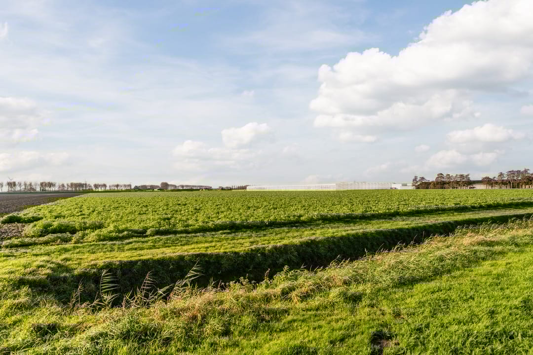 Foto 53 van Wilgenpad 8