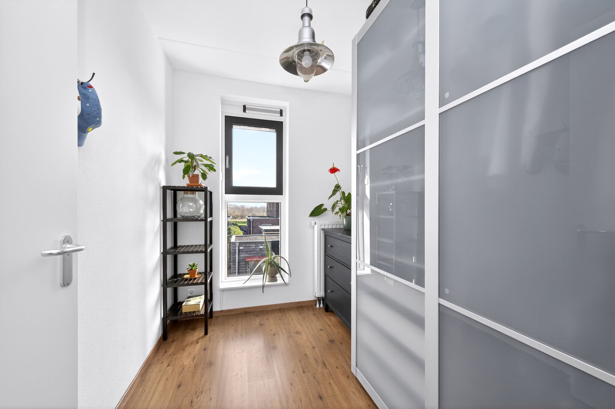 Foto 15 van Helmkruid 6