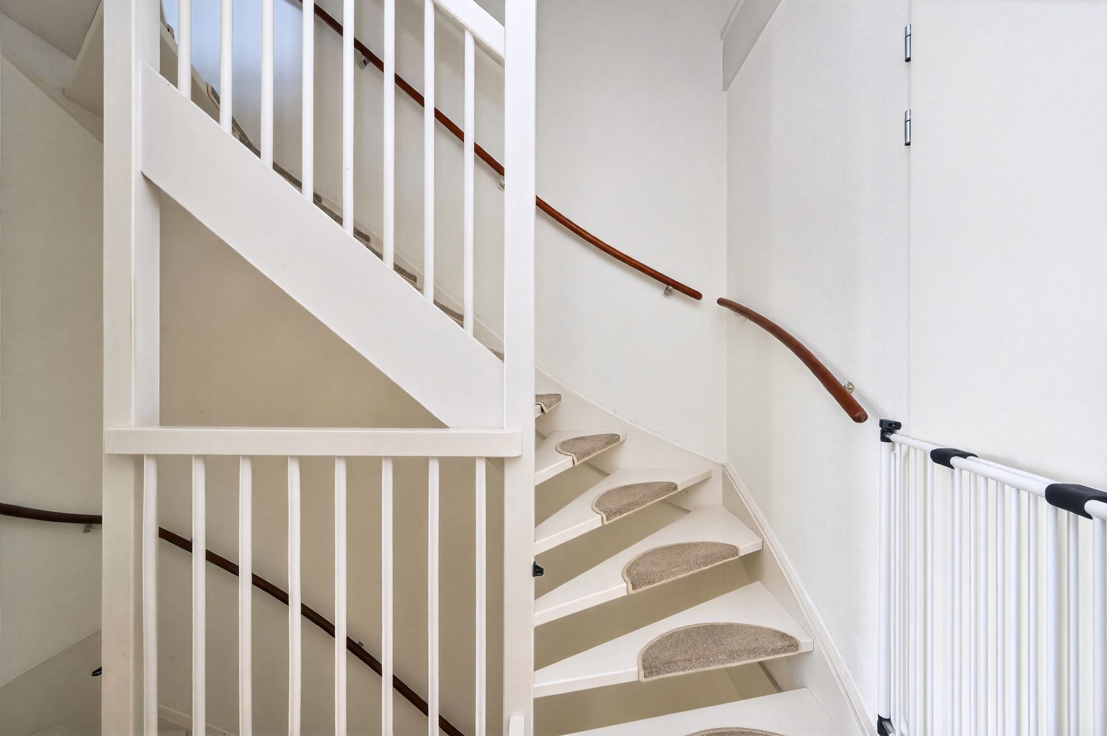 Foto 18 van Helmkruid 6