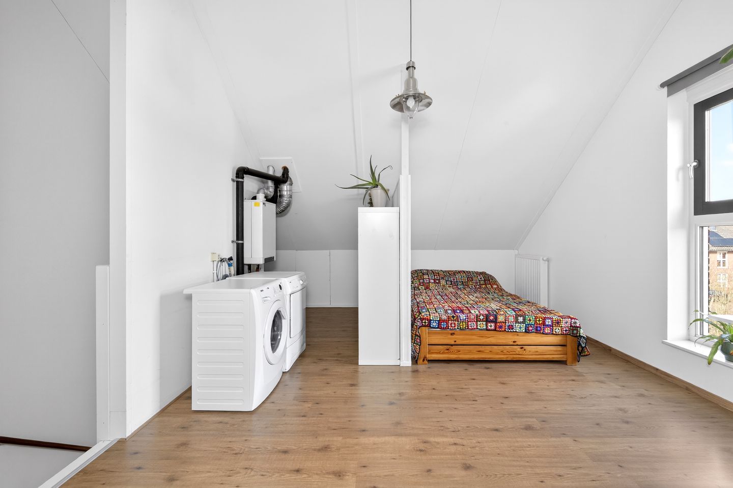 Foto 20 van Helmkruid 6