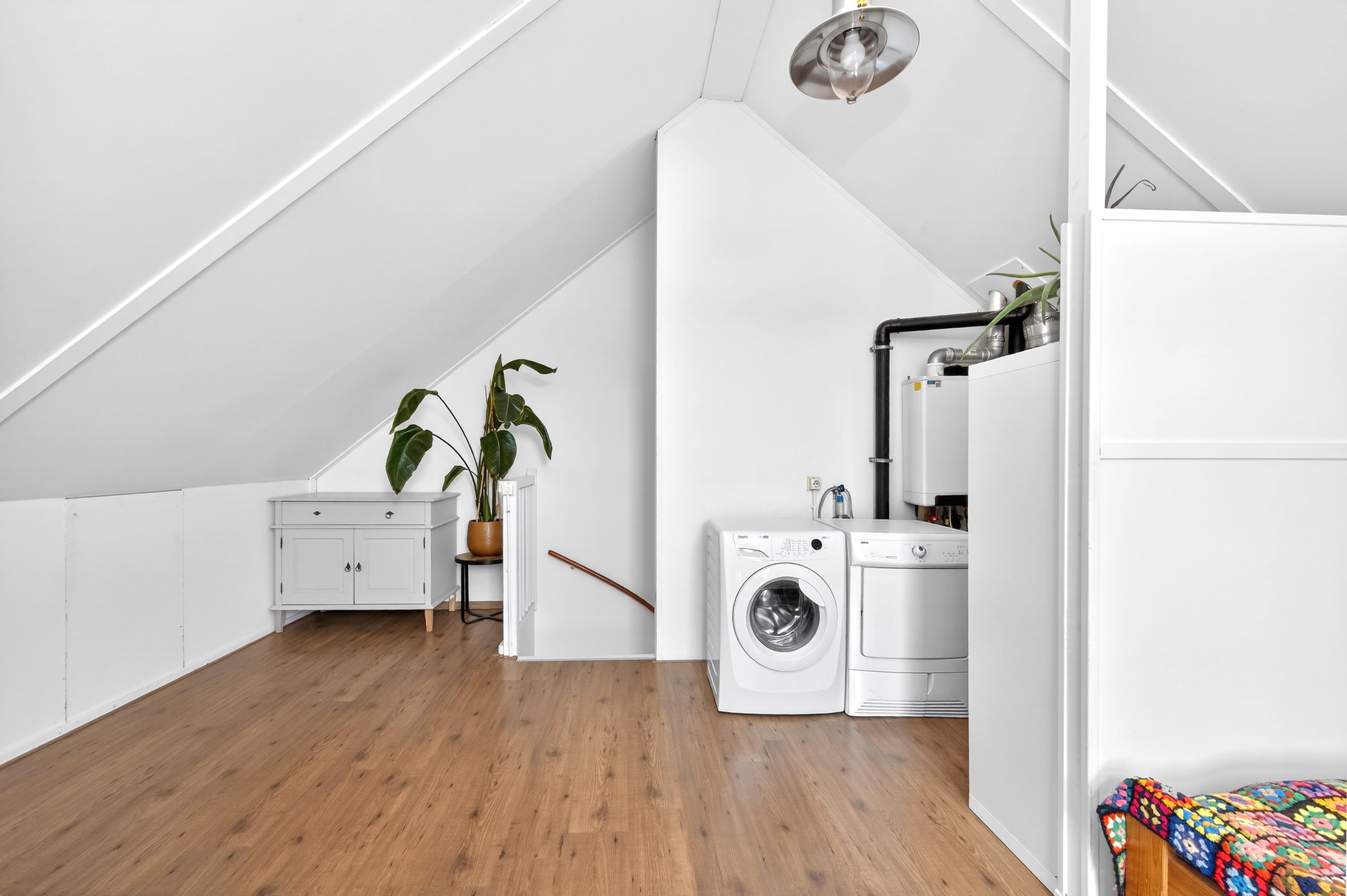 Foto 21 van Helmkruid 6