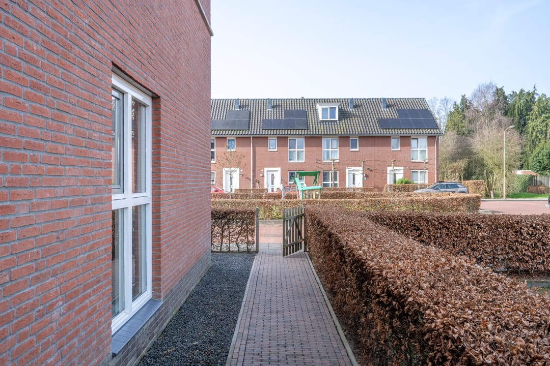 Foto 32 van Helmkruid 6