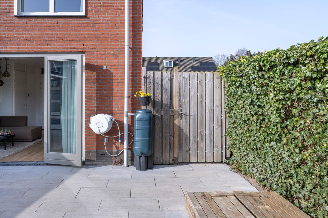 Foto 31 van Helmkruid 6