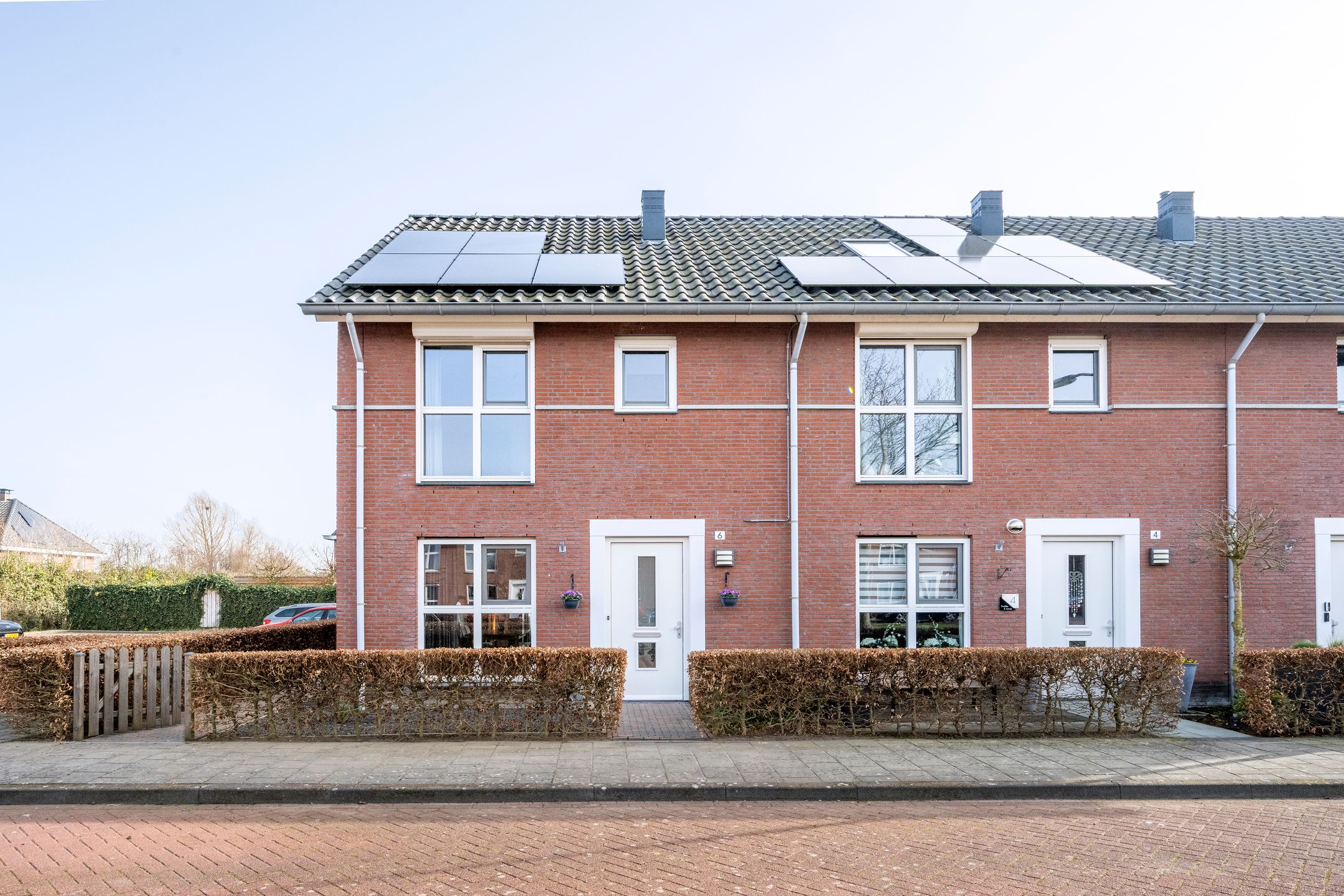 Foto 33 van Helmkruid 6