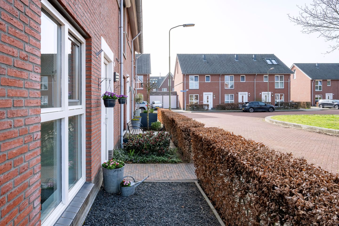 Foto 35 van Helmkruid 6