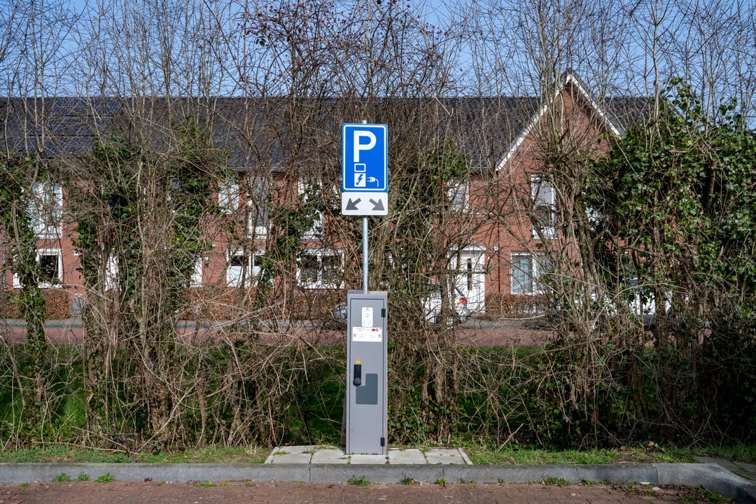 Foto 37 van Helmkruid 6