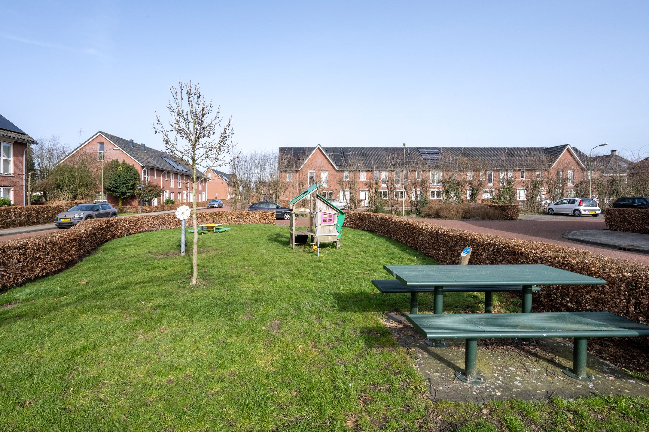 Foto 39 van Helmkruid 6