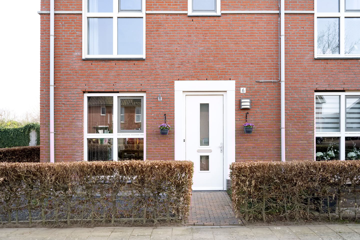 Foto 40 van Helmkruid 6