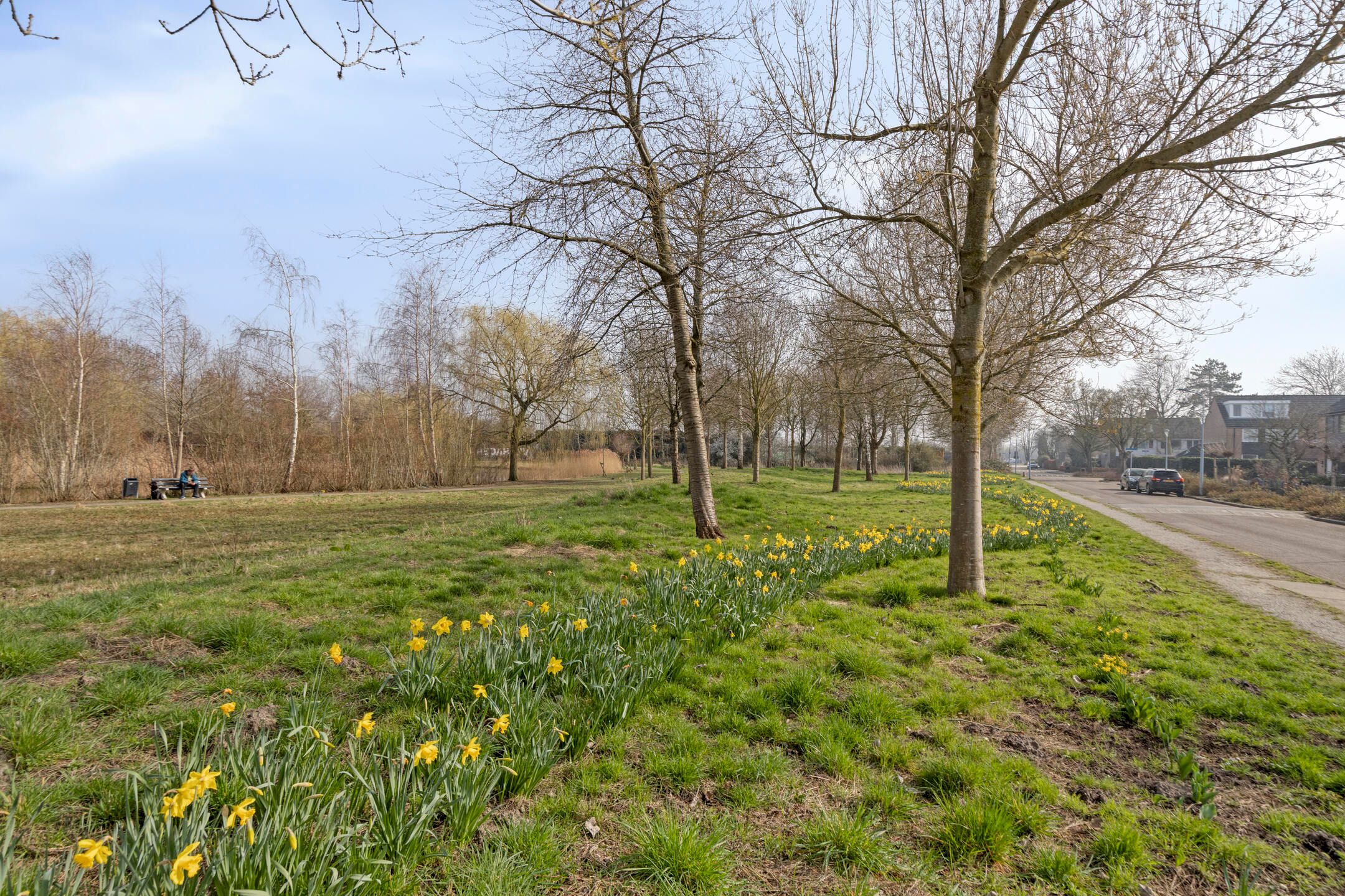 Photo 42 of Noppenstraat 22