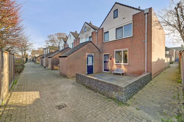 Schelp 45 main image