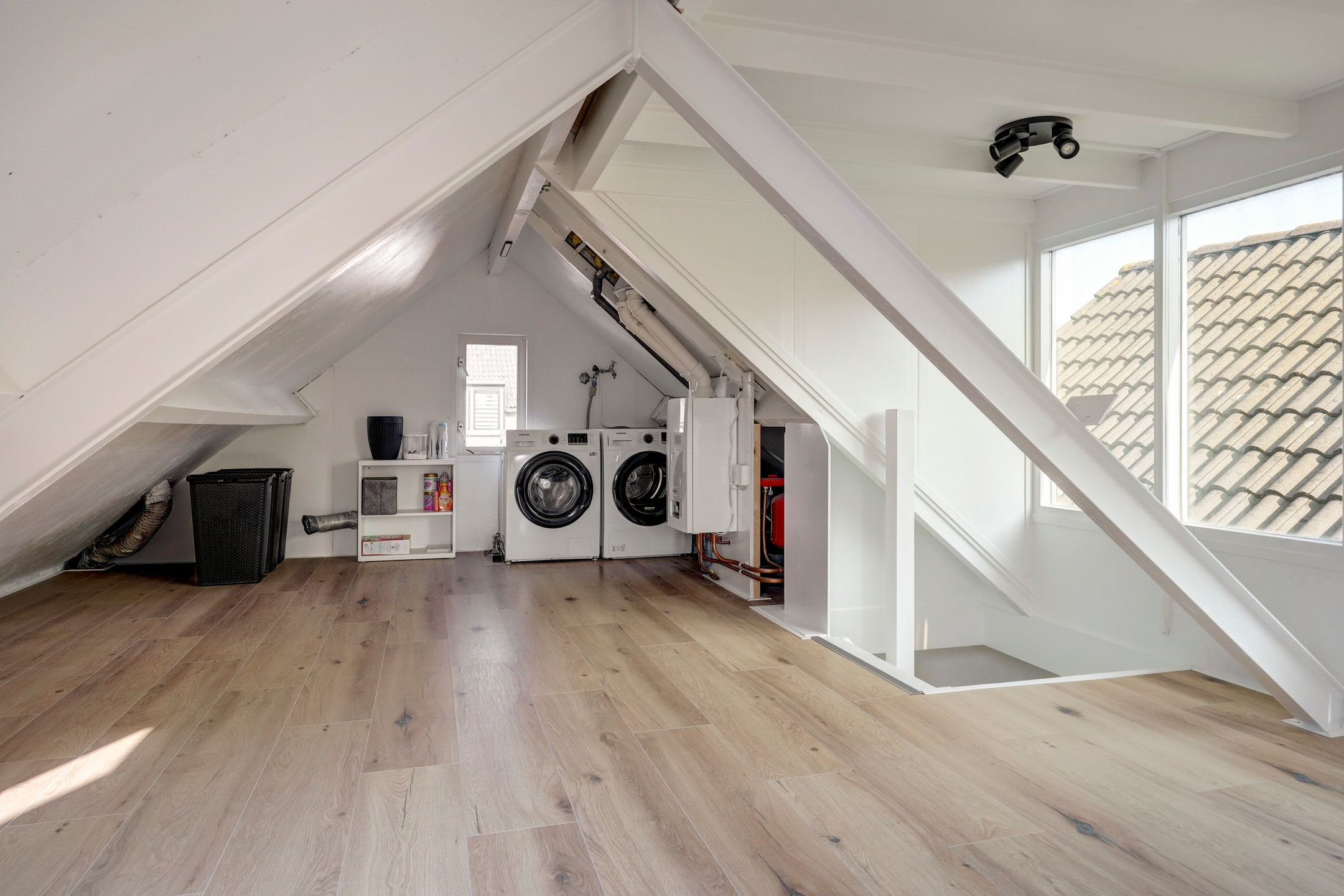 Photo 39 of Schelp 45