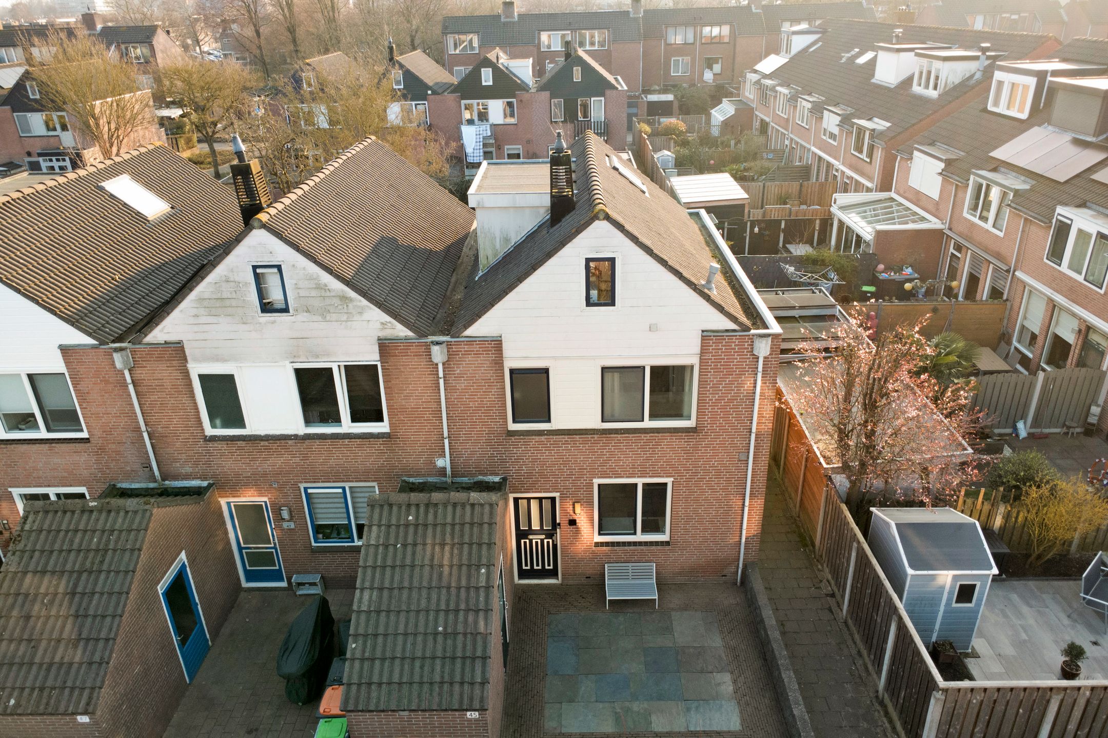 Photo 42 of Schelp 45