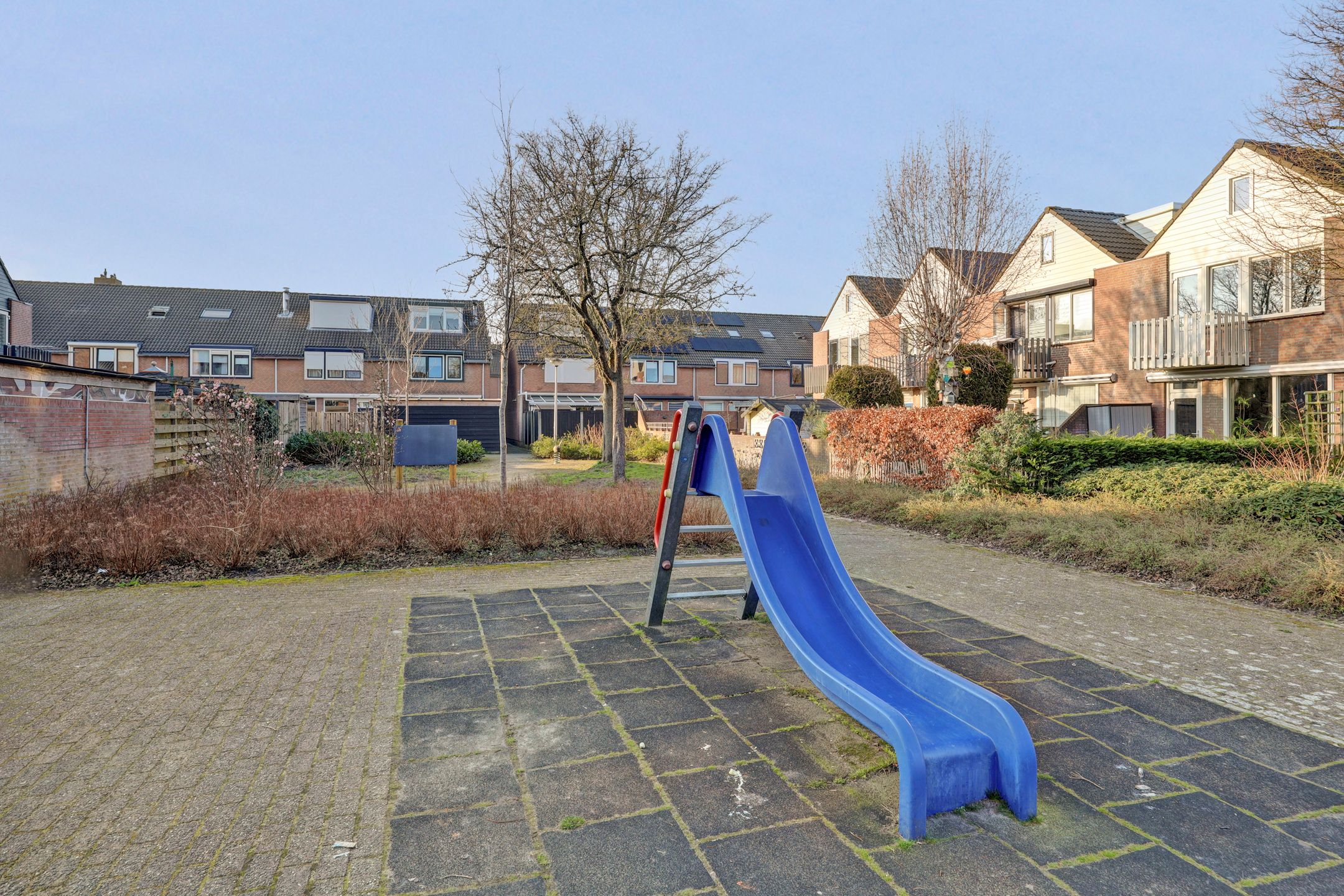 Photo 48 of Schelp 45