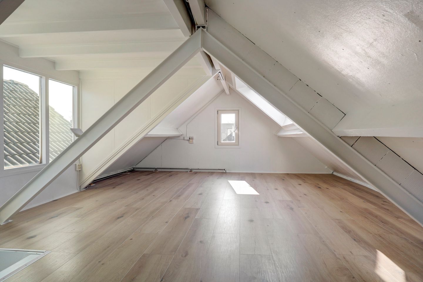 Photo 40 of Schelp 45