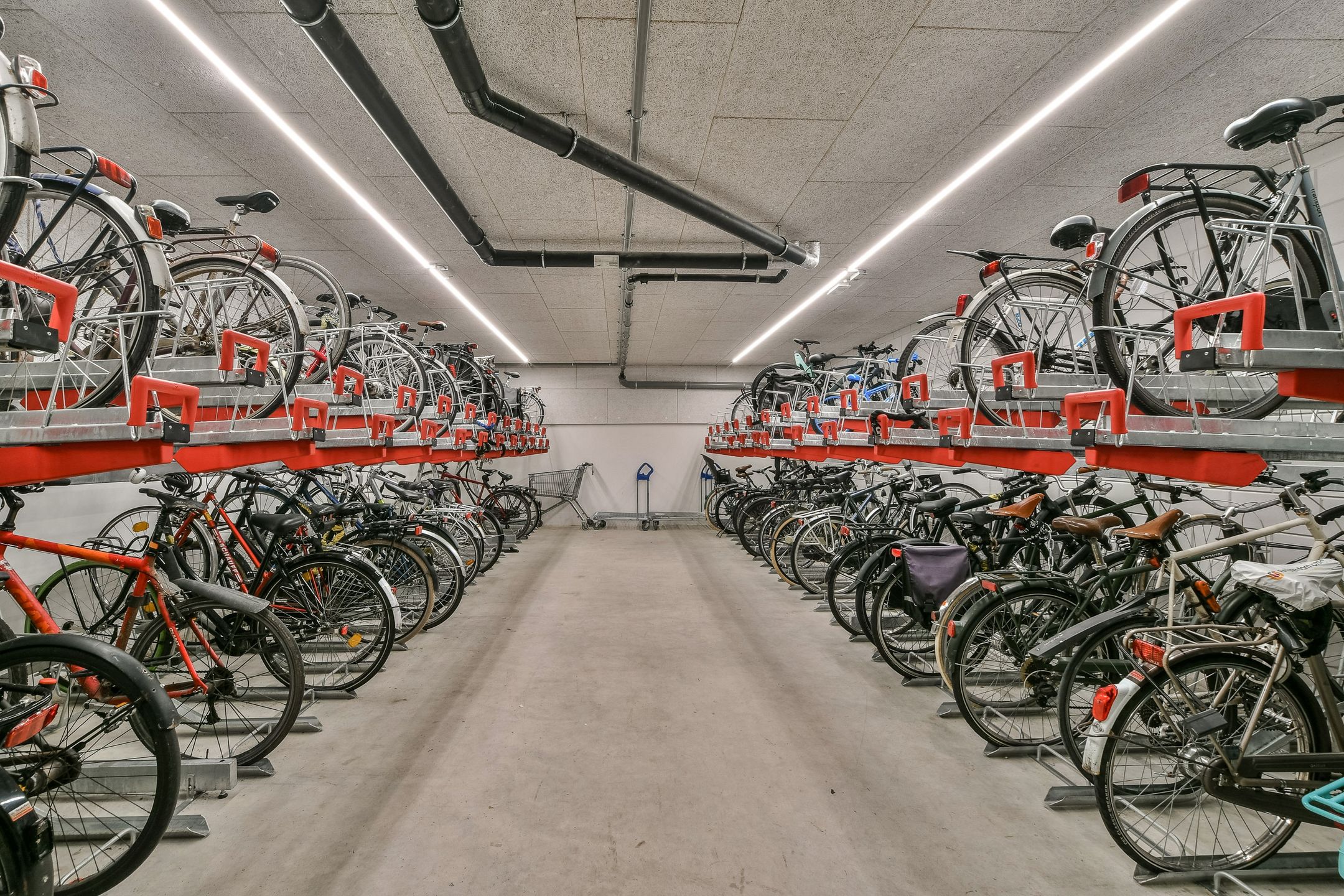 Foto 21 van Carel Willinkgracht 739