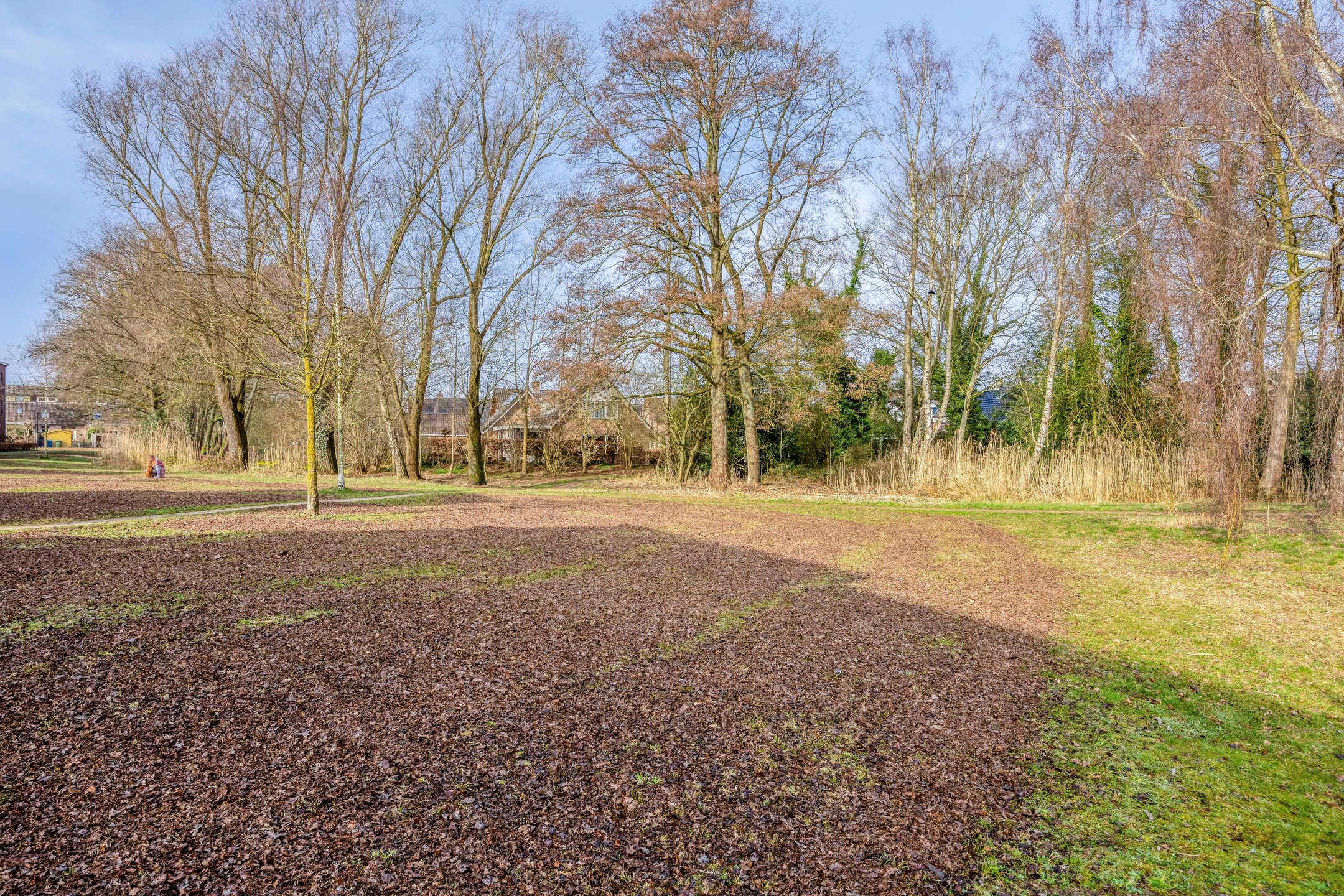 Foto 27 van Spartahof 32