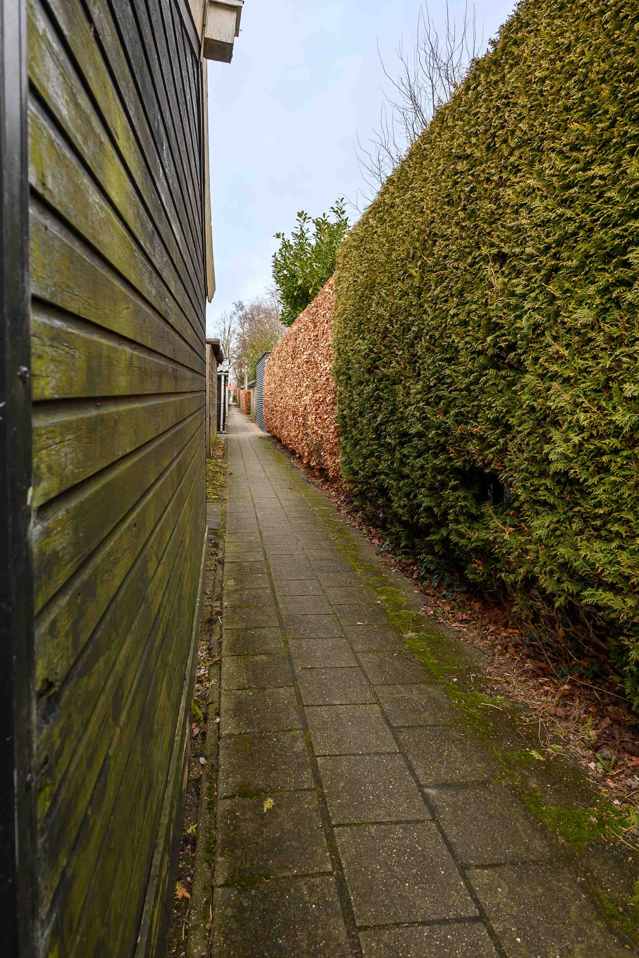 Photo 12 of Duizendknoopstraat 18