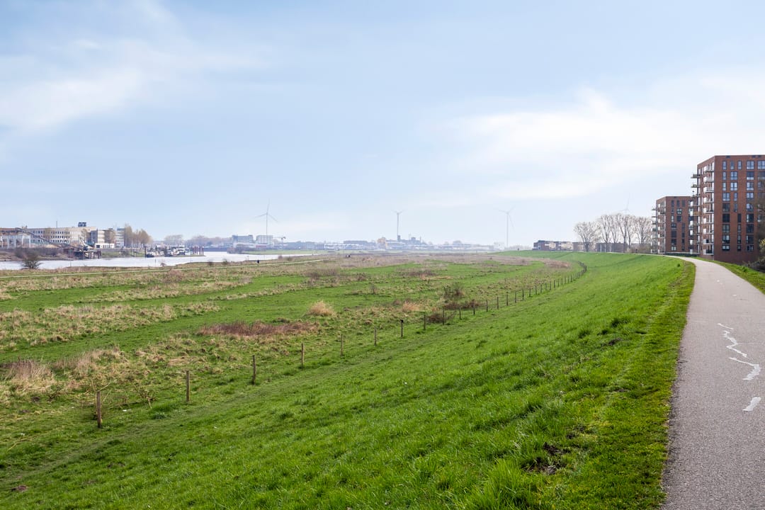 Foto 31 van Forelstraat 92