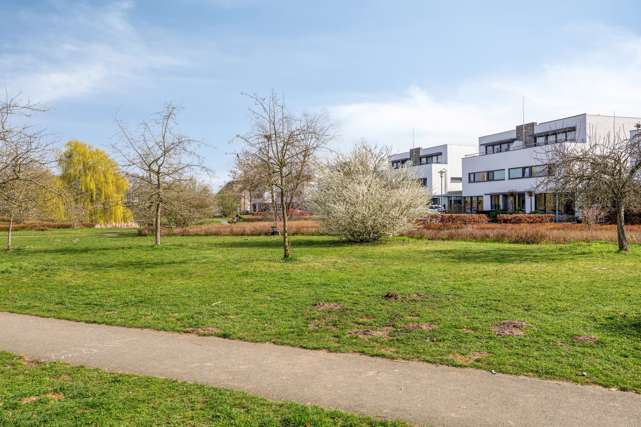 Photo 36 of Anna Blamanstraat 23