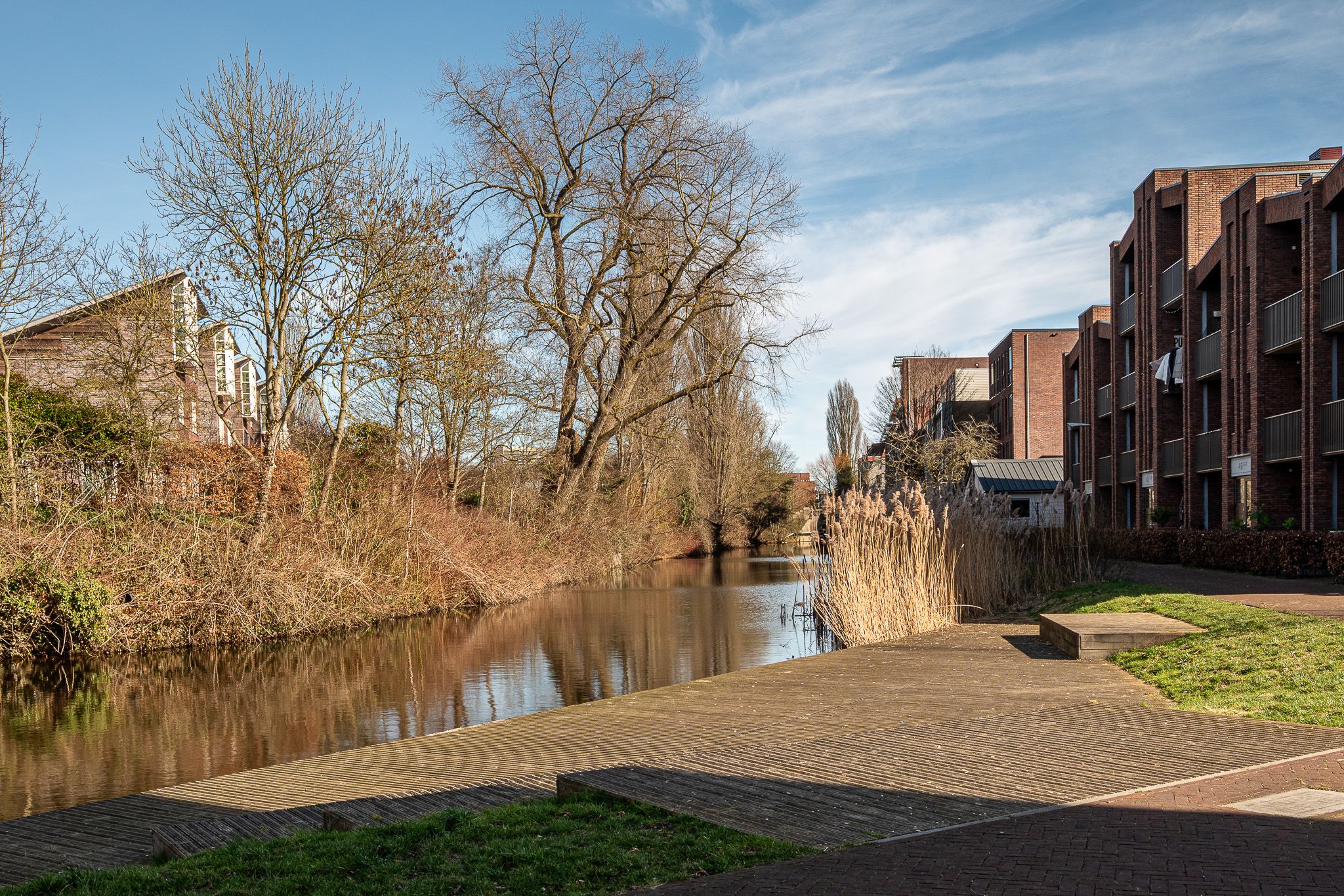 Foto 39 van Helper Westsingel 75