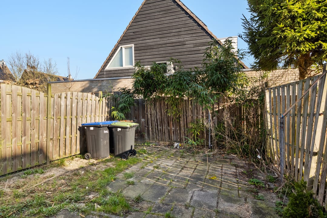 Foto 13 van Kalmoes 25