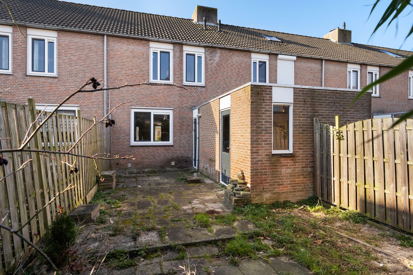 Foto 14 van Kalmoes 25