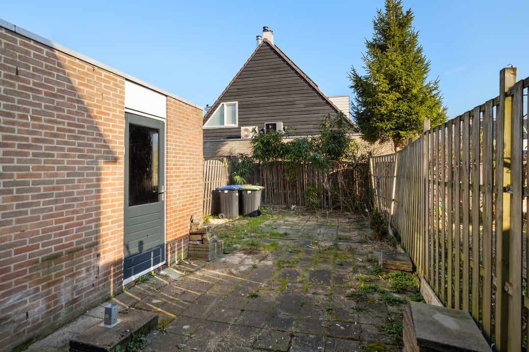 Foto 16 van Kalmoes 25