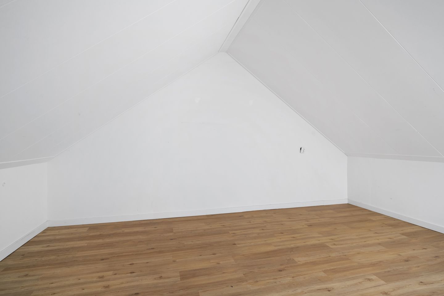 Foto 29 van Kalmoes 25