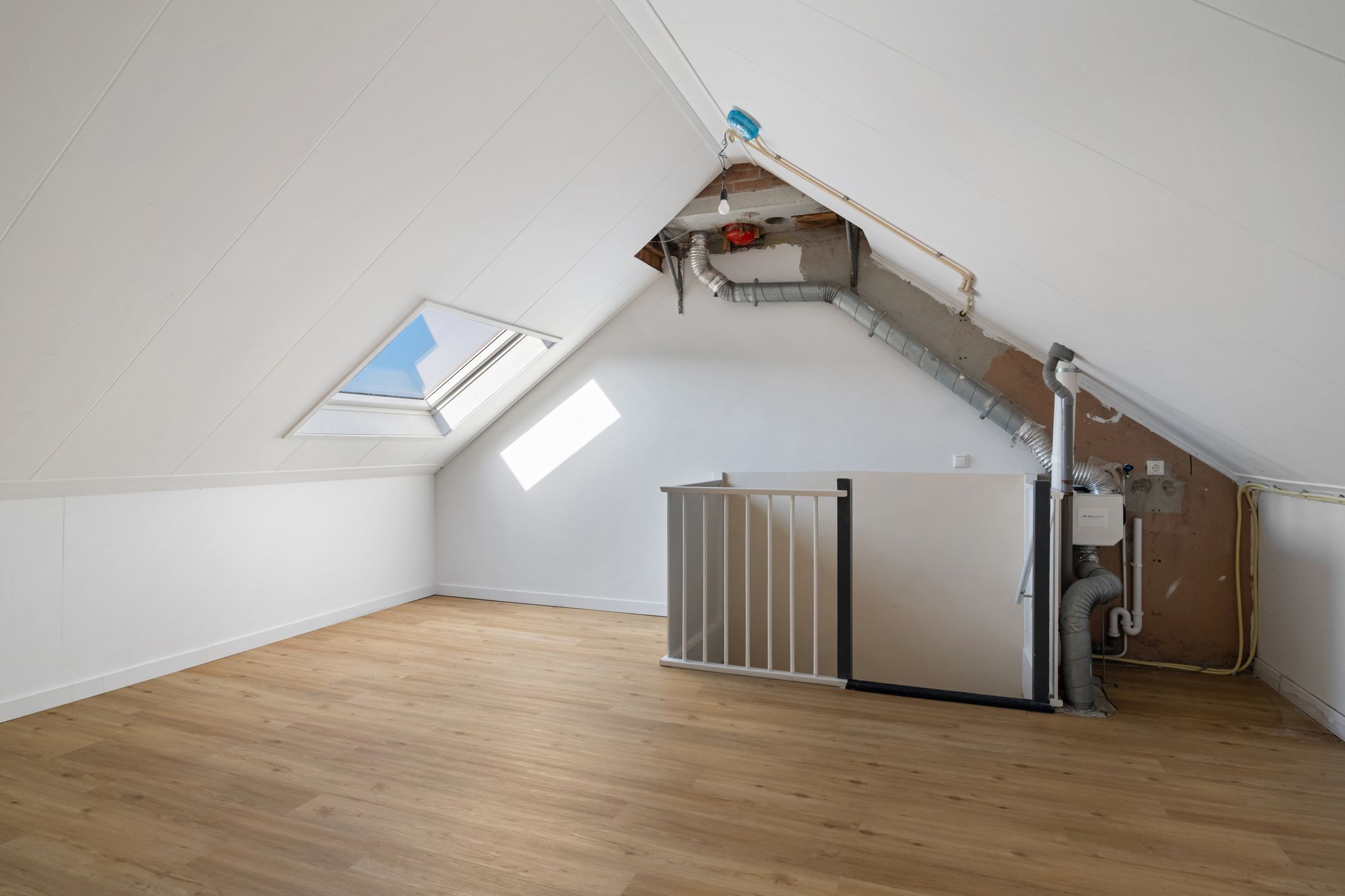 Foto 30 van Kalmoes 25