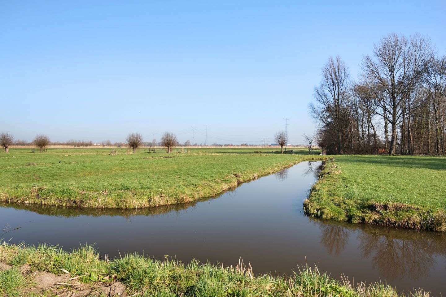 Foto 34 van Kalmoes 25